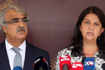 DEM Parti İmralı Heyeti, Öcalan’la görüştü