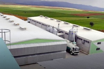 Yumurta firmasına, FETÖ soruşturması kapsamında kayyum atandı