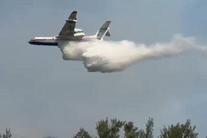 İznik’te çıkan yangın kontrol altına alındı