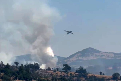 Bursa'da hava araçlarıyla yangına yoğun müdahale sürüyor