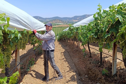 Örtücülerin kavurucu sıcaklarla zorlu mesaisi