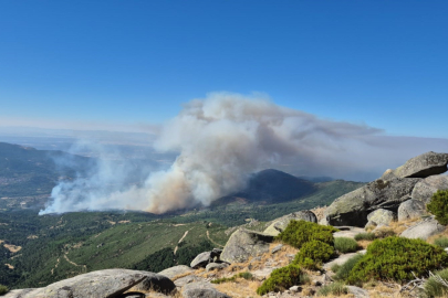 İspanya'da 3 farklı noktada orman yangını