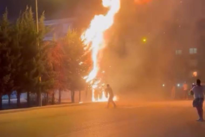 Bursa’da torpil yangını: Ağaçlar yandı