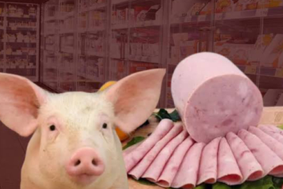 İsim değiştiren firmanın salamında yine domuz eti tespit edildi