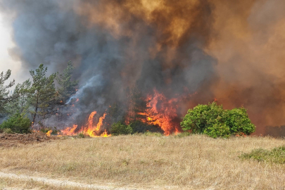 Yenişehir’deki orman yangını kontrol altına alındı