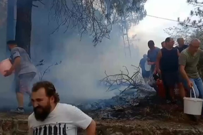 İzmit’te ormanlık alanda yangın: Mahalleli ve itfaiye el ele