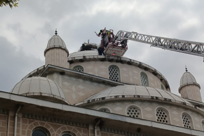 İznik’te cami kubbesinde mahsur kalan leylek kurtarıldı