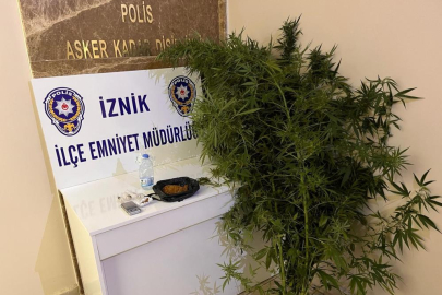 Bahçesinde hint keneviri yetiştiren kişiler tutuklandı