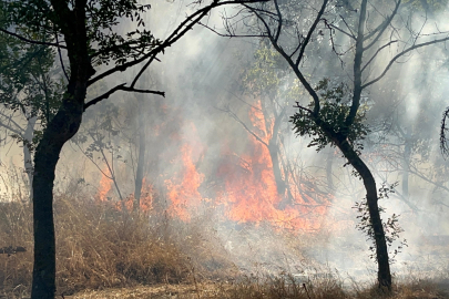 Ormanlık alanda korkutan yangın