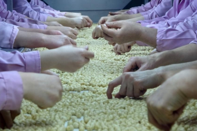 Yedi ayda 14 bin 348 ton ihraç edildi