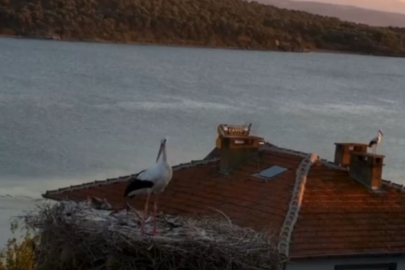 Yaren Leylek’ten sessiz uyarı: Depremi önceden hissetti