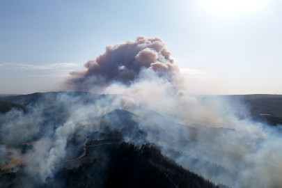 Gelibolu'da çıkan orman yangını dron ile görüntülendi