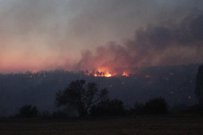 Türkiye yangınlarla mücadele ediyor: 3 ilimiz alevlere teslim!