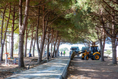 Bursa’ya yeni nefes alanı: Yenişehir’e dev mesire projesi