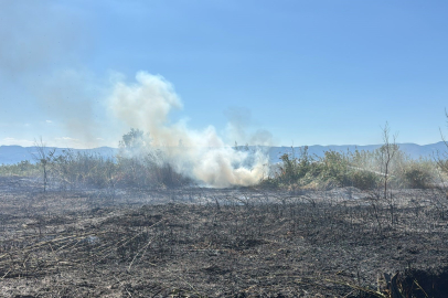 İznik'te sazlık yangını: 100 dönüm alan küle döndü