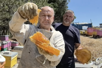 İnegöl’de 50 yıllık kara kovan geleneği: Doğal bala yoğun talep