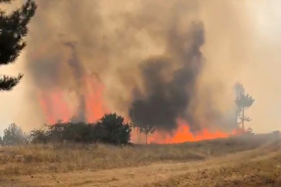 Bursa'nın dağ ilçesinde ormanlık alanda yangın alarmı