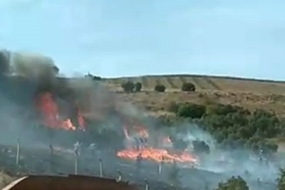 Erdek'te otluk ve ağaçlık alanda yangın