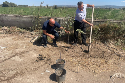 Bursa’da yeşil direniş: 70 yaşındaki öğretmen her ağaca 10 fidan diyor