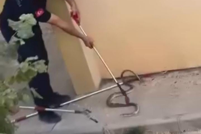 İnegöl'de bahçede görülen yılan korkuttu, ekipler müdahale etti