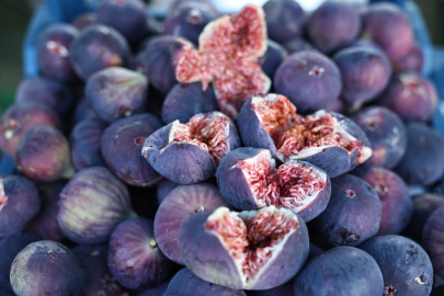 Nilüfer'de İncir Festivali, eğlenceli etkinliklerle kapılarını açıyor