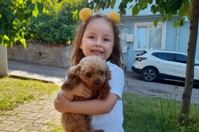 Berra'nın ölümünde ihmaller zinciri: Kaçak havuz, eksik denetim