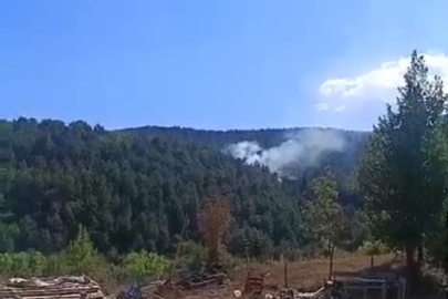 Bolu'da orman yangını