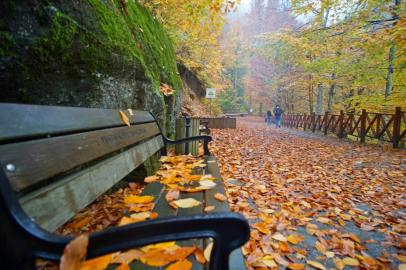 Türkiye’de sonbaharda görülmesi gereken yerler