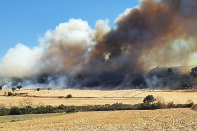 Çanakkale'de orman yangını