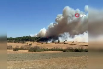 Çanakkale'de orman yangını