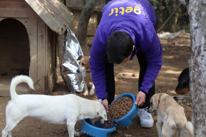 “Mama Gönder” ile Türkiye’nin hayvan bakımevlerine 1 milyon kap mama