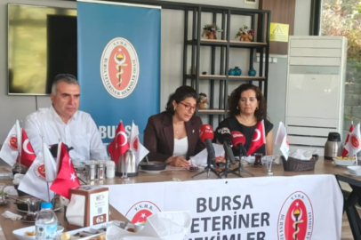 Bursa Veteriner Hekimler Odası'ndan uyarı: İtlaf değil, aşılama çözüm!