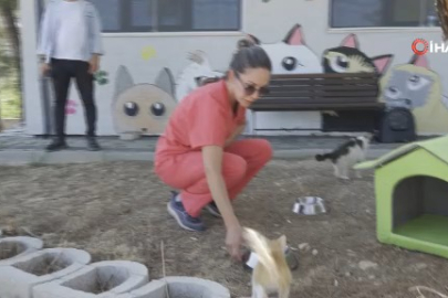 Büyükşehir'den can dostlara şefkat eli