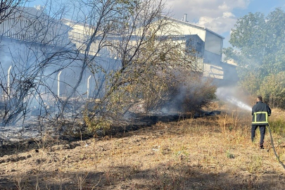 Ot yangını büyümeden söndürüldü