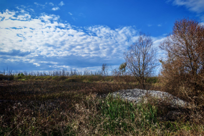 Otluk alanda çıkan yangın söndürüldü