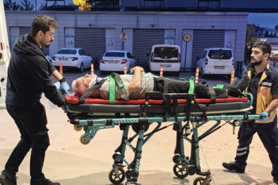 Bursa'da ceviz ağacından düşen adam ağır yaralandı
