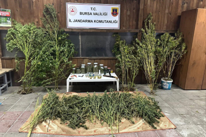 İnegöl'de operasyon: 9 kilo 400 gram esrar ele geçirildi