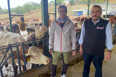 Bursa’da ilk! Yapay zeka ile hayvancılıkta verimlilik artıyor