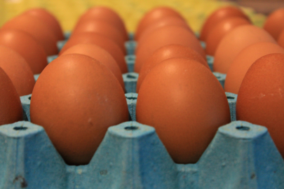 YUM-BİR: Sağlıklı bir yaşam için her gün yumurta