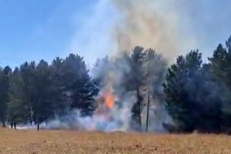 Sarıkamış ormanlarında örtü yangını