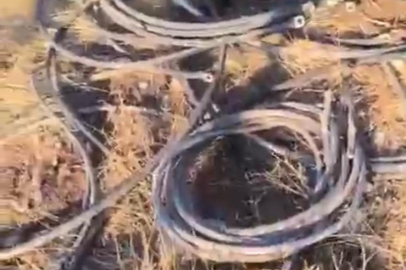 Kaza yapan hırsızlık şüphelileri, aracı bırakıp kaçtı