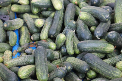 Kış hazırlığı başladı: Turşuluk sebzelere yoğun ilgi