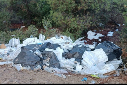 Denizli Buldan’da ormanlar çöplüğe döndü