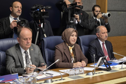 Milli Parklar’a ilişkin kanun teklifi Komisyon'da