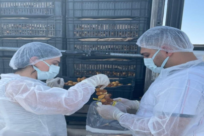 Sınırda gıda güvenliği: Taze hurmalara titiz inceleme