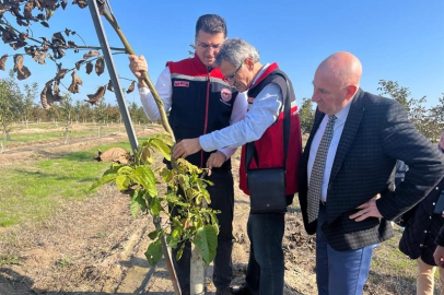 Tarım destekleri anlatıldı: Ceviz üreticisine bilgilendirme