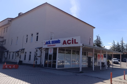 9 yaşındaki Nisa Nur’u arı soktu, yaşamını yitirdi