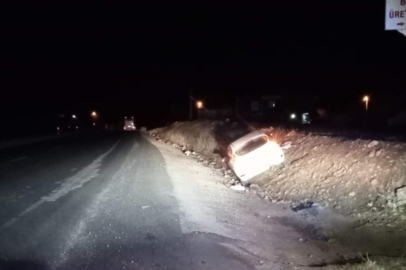 Otomobil şarampole girdi: 2 yaralı