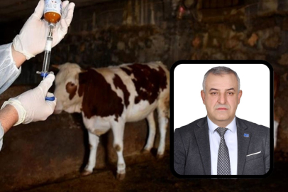 Bursa’da şap krizi derinleşiyor: Bu ilçenin sahibi yok mu?