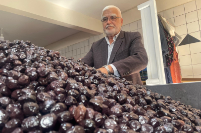 Bursa'nın Katırlı köyünden İsviçre’ye zeytin ihracatı
